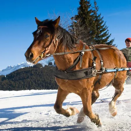 Bluebell بيت ضيافة